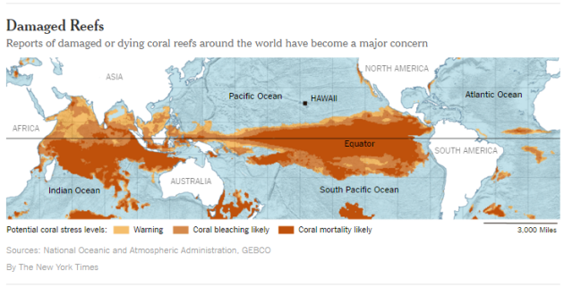 NYTIMES_INFO